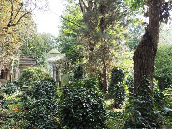 Zabytkowy cmentarz żydowski